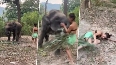 Woman Approaches Elephant in Attempt to Befriend it, Angry Animal Attacks Latter and Sends Her Flying Backwards; Chilling Video Surfaces